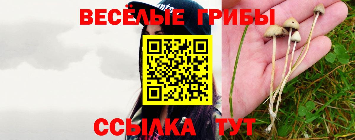 Псилоцибиновые грибы Cubensis  Вход с VPN  купить наркотики сайты  Рузаевка 